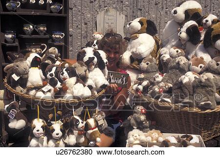 stuffed St. Bernard, souvenir, Switzerland, Ticino, Alps, St. Gotthard Pass Road, Woman holds a picture of Saint Bernard dogs surrounded by St. Bernard stuffed animals at the gift shop at Saint Gotthard Mountain Pass in the scenic Swiss Alps. View Large Photo Image Stock Image - stuffed St. Bernard, souvenir, Switzerland, Ticino, Alps, St. Gotthard Pass Road, Woman holds a picture of Saint Bernard dogs surrounded by St. Bernard stuffed animals at the gift shop at Saint Gotthard Mountain Pass in the scenic Swiss Alps.. Fotosearch