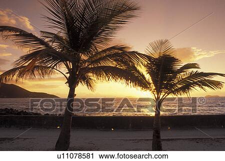 sunrise, Caribbean, Tortola, British Virgin Islands, Road Town, BVI, Sunrise over the Caribbean Sea from Prospect Reef Resort in Road Town on the island of Tortola. View Large Photo Image Stock Image - sunrise, Caribbean, Tortola, British Virgin Islands, Road Town, BVI, Sunrise over the Caribbean Sea from Prospect Reef Resort in Road Town on the island of Tortola.. Fotosearch
