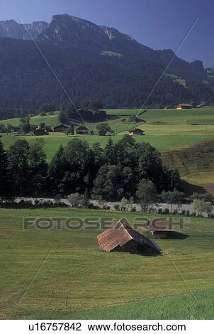 Switzerland, Berne, Bern, Scenic view of the farmland in the Simmental Valley in the Bernese Oberland. View Large Photo Image Stock Image - Switzerland, Berne, Bern, Scenic view of the farmland in the Simmental Valley in the Bernese Oberland.. Fotosearch