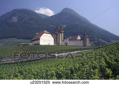 Switzerland, castle, vineyard, Vaud, Aigle, Chateau d' Aigle surrounded by vineyards in the Canton of Vaud. View Large Photo Image Stock Photography - Switzerland, castle, vineyard, Vaud, Aigle, Chateau d' Aigle surrounded by vineyards in the Canton of Vaud. . Fotosearch