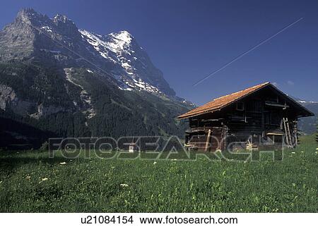 Picture -  Switzerland, Grindelwald, Bern, Bernese Alps, Europe, Scenic view of a small wooden chalet against the snow-capped mountains of the Bernese Alps in Grindelwald.. Fotosearch