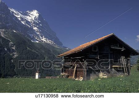 Stock Photo -  Switzerland, Grindelwald, Bern, Bernese Alps, Europe, Scenic view of a small wooden chalet against the snow-capped mountains of the Bernese Alps in Grindelwald.. Fotosearch