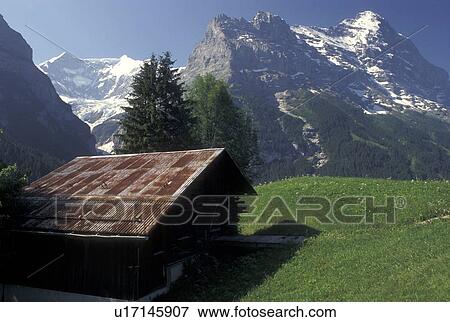 Stock Photo -  Switzerland, Grindelwald, Bern, Bernese Alps, Europe, Scenic view of a small wooden chalet against the snow-capped mountains of the Bernese Alps in Grindelwald.. Fotosearch