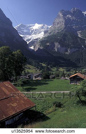 Switzerland, Grindenwald, Berne, Bern, Bernese Oberland, Scenic view of the alpine resort town of Grindenwald and the Bernese Alps. View Large Photo Image Picture - Switzerland, Grindenwald, Berne, Bern, Bernese Oberland, Scenic view of the alpine resort town of Grindenwald and the Bernese Alps.. Fotosearch