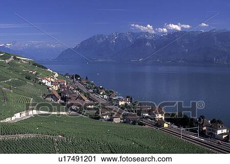 Stock Image -  Switzerland, Lake Geneva, vineyard, Vaud, Lavaux, Alps, Scenic view of the village of Villette along the lakeshore of Lac Leman from the steep slopes of the vineyards of Lavaux in the Canton of Vaud. . Fotosearch