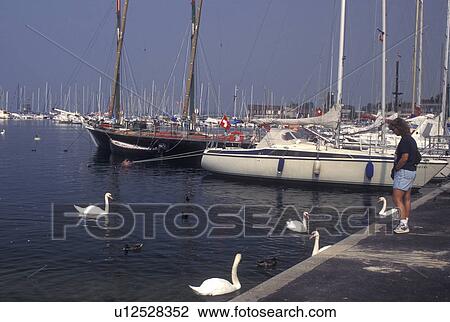 Switzerland, Lausanne, Ouchy, Vaud, Lac Leman, swans, harbor, pier, boats, Lake Geneva. View Large Photo Image Stock Image - Switzerland, Lausanne, Ouchy, Vaud, Lac Leman, swans, harbor, pier, boats, Lake Geneva.. Fotosearch