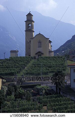 Stock Image -  Switzerland, Ticino, Bellinzona, Scenic view of the church and vineyards in the village of Bellinzona.. Fotosearch