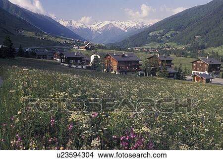 Picture -  Switzerland, Valais, Alps, Scenic view of Goms Valley and the Swiss Alps in the Canton of Valais in the summer.. Fotosearch