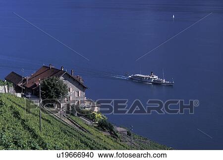 Switzerland, Vaud, Lavaux, Lake Geneva, Scenic view of an excursion steamer boat cruising along the lakeshore of Lac Leman from the steep slopes of the vineyards of Lavaux in the Canton of Vaud. View Large Photo Image Stock Image - Switzerland, Vaud, Lavaux, Lake Geneva, Scenic view of an excursion steamer boat cruising along the lakeshore of Lac Leman from the steep slopes of the vineyards of Lavaux in the Canton of Vaud. . Fotosearch
