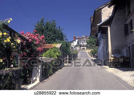 Switzerland, Vaud, Lavaux, Lake Geneva, Alps, Picturesque wine village of Rivaz in the Canton of Vaud. View Large Photo Image Stock Image - Switzerland, Vaud, Lavaux, Lake Geneva, Alps, Picturesque wine village of Rivaz in the Canton of Vaud. . Fotosearch