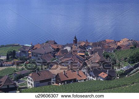 Switzerland, Vaud, Lavaux, Lake Geneva, vineyard, Picturesque village of Rivaz surrounded by vineyards along the lakeshore of Lac Leman in the Canton of Vaud. View Large Photo Image Stock Photo - Switzerland, Vaud, Lavaux, Lake Geneva, vineyard, Picturesque village of Rivaz surrounded by vineyards along the lakeshore of Lac Leman in the Canton of Vaud. . Fotosearch