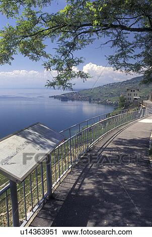 Switzerland, Vaud, Lavaux, vineyards, Lake Geneva, Scenic view the steep slopes of the vineyards of Lavaux in the Canton of Vaud along Lac Leman. View Large Photo Image Stock Image - Switzerland, Vaud, Lavaux, vineyards, Lake Geneva, Scenic view the steep slopes of the vineyards of Lavaux in the Canton of Vaud along Lac Leman. . Fotosearch