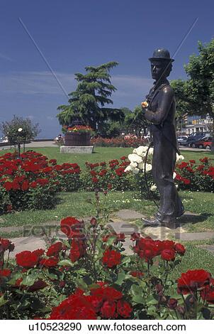 Switzerland, Vevey, Charlie Chaplin, Lake Geneva, Vaud, Statue of Charlie Chaplin holding a pink rose at the lakefront park along Lac Leman in Vevey in the Canton of Vaud. He is surrounded by beautiful red and white flowers. View Large Photo Image Stock Image - Switzerland, Vevey, Charlie Chaplin, Lake Geneva, Vaud, Statue of Charlie Chaplin holding a pink rose at the lakefront park along Lac Leman in Vevey in the Canton of Vaud. He is surrounded by beautiful red and white flowers.. Fotosearch