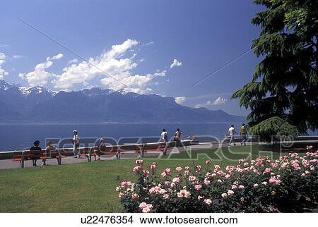 Switzerland, Vevey, Lake Geneva, Alps, Vaud, Lakefront park along Lac Leman in Vevey in the Canton of Vaud. Scenic view of the Alps across Lake Geneva. View Large Photo Image Picture - Switzerland, Vevey, Lake Geneva, Alps, Vaud, Lakefront park along Lac Leman in Vevey in the Canton of Vaud. Scenic view of the Alps across Lake Geneva.. Fotosearch