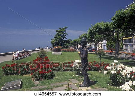 Switzerland, Vevey, Lake Geneva, Charlie Chaplin, Vaud, Statue of Charlie Chaplin holding a pink rose at the lakefront park along Lac Leman in Vevey in the Canton of Vaud. He is surrounded by beautiful red and white flowers. View Large Photo Image Stock Photo - Switzerland, Vevey, Lake Geneva, Charlie Chaplin, Vaud, Statue of Charlie Chaplin holding a pink rose at the lakefront park along Lac Leman in Vevey in the Canton of Vaud. He is surrounded by beautiful red and white flowers.. Fotosearch