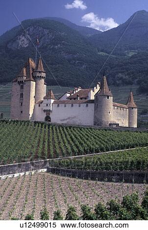 Switzerland, vineyard, castle, Vaud, Aigle, Chateau d' Aigle surrounded by vineyards in the Canton of Vaud. View Large Photo Image Stock Photography - Switzerland, vineyard, castle, Vaud, Aigle, Chateau d' Aigle surrounded by vineyards in the Canton of Vaud. . Fotosearch