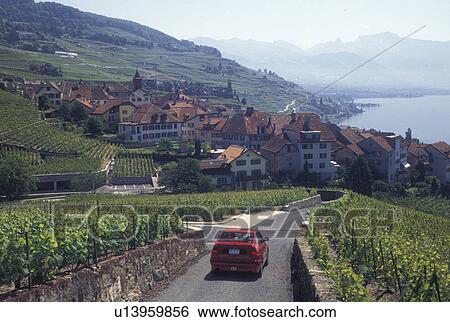 Stock Photograph -  Switzerland, vineyard, Vaud, Lavaux, Lake Geneva, Village of Rivaz along the lakeshore of Lac Leman and the vineyards of Lavaux in the Canton of Vaud. . Fotosearch