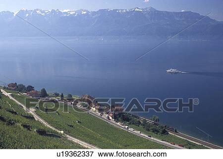 Switzerland, vineyards, Lavaux, Vaud, Lake Geneva, Scenic view of an excursion steamer boat cruising along the lakeshore of Lac Leman from the steep slopes of the vineyards of Lavaux in the Canton of Vaud. The Alps can be seen across the lake. View Large Photo Image Stock Photo - Switzerland, vineyards, Lavaux, Vaud, Lake Geneva, Scenic view of an excursion steamer boat cruising along the lakeshore of Lac Leman from the steep slopes of the vineyards of Lavaux in the Canton of Vaud. The Alps can be seen across the lake.. Fotosearch