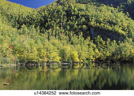 The Adirondacks, NY, New York, Lake Placid, Trees reflect in the calm waters of a scenic lake in Lake Placid in the autumn. View Large Photo Image Stock Image - The Adirondacks, NY, New York, Lake Placid, Trees reflect in the calm waters of a scenic lake in Lake Placid in the autumn. . Fotosearch