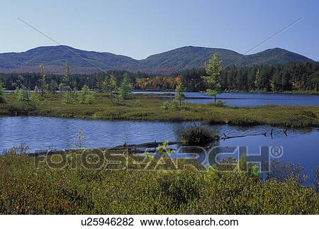 The Adirondacks, NY, New York, Scenic view of lake and mountains in the autumn in the Adirondack Park in Franklin County. View Large Photo Image Stock Image - The Adirondacks, NY, New York, Scenic view of lake and mountains in the autumn in the Adirondack Park in Franklin County.. Fotosearch