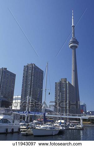 Toronto, Canada, Ontario, Lake Ontario, CN Tower and skyline of downtown Toronto form Harborfront Centre along Toronto Inner Harbor on Lake Ontario. View Large Photo Image Stock Photo - Toronto, Canada, Ontario, Lake Ontario, CN Tower and skyline of downtown Toronto form Harborfront Centre along Toronto Inner Harbor on Lake Ontario.. Fotosearch