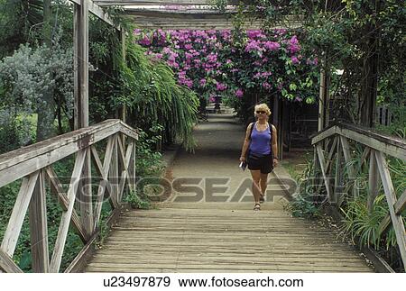 Tortola, British Virgin Islands, Road Town, Caribbean, BVI, Woman walking on the footpath at JR O'Neal Botanic Gardens in Road Town on the island of Tortola. View Large Photo Image Stock Photo -  Tortola, British Virgin Islands, Road Town, Caribbean, BVI, Woman walking on the footpath at JR O'Neal Botanic Gardens in Road Town on the island of Tortola.. Fotosearch
