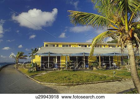Tortola, British Virgin Islands, Road Town, Caribbean, BVI, Prospect Reef Resort in Road Town on the island of Tortola on the Caribbean Sea. View Large Photo Image Stock Photo - Tortola, British Virgin Islands, Road Town, Caribbean, BVI, Prospect Reef Resort in Road Town on the island of Tortola on the Caribbean Sea.. Fotosearch