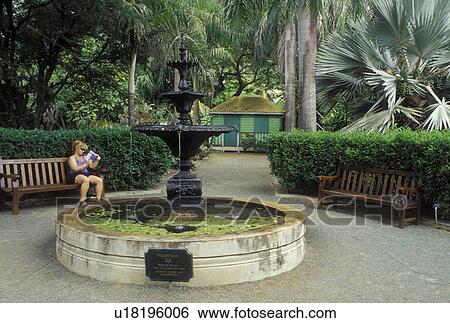 Tortola, British Virgin Islands, Road Town, Caribbean, BVI, Woman reading a book by the fountain at JR O'Neal Botanic Gardens in Road Town on the island of Tortola. View Large Photo Image Stock Photograph - Tortola, British Virgin Islands, Road Town, Caribbean, BVI, Woman reading a book by the fountain at JR O'Neal Botanic Gardens in Road Town on the island of Tortola.. Fotosearch