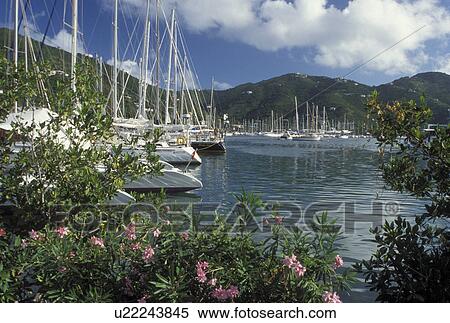 Tortola, British Virgin Islands, Road Town, Caribbean, BVI, Boats docked in Road Bay in Road Town on the island of Tortola. View Large Photo Image Stock Photography - Tortola, British Virgin Islands, Road Town, Caribbean, BVI, Boats docked in Road Bay in Road Town on the island of Tortola.. Fotosearch