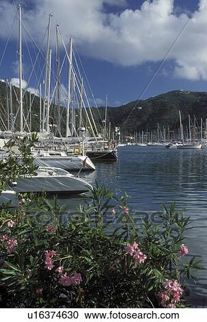 Tortola, sunrise, British Virgin Islands, Road Town, Caribbean, BVI, Boats docked in Road Bay in Road Town on the island of Tortola. View Large Photo Image Stock Image - Tortola, sunrise, British Virgin Islands, Road Town, Caribbean, BVI, Boats docked in Road Bay in Road Town on the island of Tortola.. Fotosearch