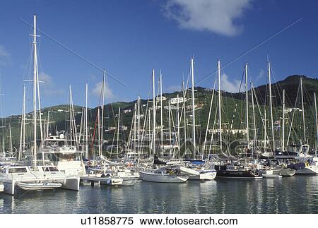Tortola, sunrise, British Virgin Islands, Road Town, Caribbean, BVI, Boats docked in Road Bay in Road Town on the island of Tortola. View Large Photo Image Stock Photography -  Tortola, sunrise, British Virgin Islands, Road Town, Caribbean, BVI, Boats docked in Road Bay in Road Town on the island of Tortola.. Fotosearch