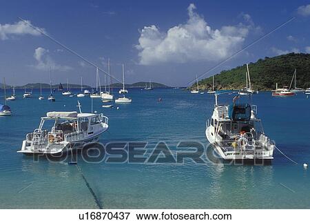 U. S. Virgin Islands, St. John, Caribbean, USVI, Boats buoyed on Cruz Bay on Saint John Island. View Large Photo Image Stock Photo - U. S. Virgin Islands, St. John, Caribbean, USVI, Boats buoyed on Cruz Bay on Saint John Island.. Fotosearch