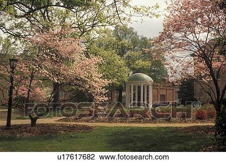 UNC, Chapel Hill, NC, North Carolina, Old Well on the campus of the University of North Carolina in Chapel Hill. View Large Photo Image Stock Image -  UNC, Chapel Hill, NC, North Carolina, Old Well on the campus of the University of North Carolina in Chapel Hill.. Fotosearch