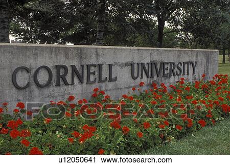 Stock Image -  university, Cornell, Ithaca, NY, New York, Finger Lakes, Entrance to the campus of Cornell University.. Fotosearch