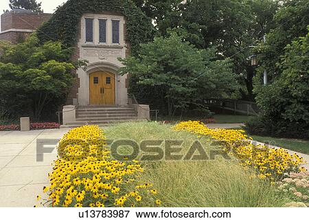university, East Lansing, MI, Michigan, MSU, Alumni Chapel on the campus of Michigan State University. View Large Photo Image Stock Photo - university, East Lansing, MI, Michigan, MSU, Alumni Chapel on the campus of Michigan State University.. Fotosearch