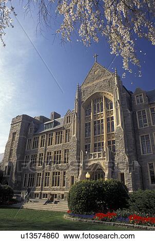university, Georgetown, Washington, DC, District of Columbia, White-Gravenor Building on the campus of Georgetown University in the spring in Georgetown. View Large Photo Image Stock Image - university, Georgetown, Washington, DC, District of Columbia, White-Gravenor Building on the campus of Georgetown University in the spring in Georgetown.. Fotosearch
