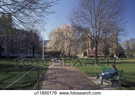 university, Georgetown, Washington, DC, District of Columbia, Georgetown University campus in the spring in Washington D. C. View Large Photo Image Stock Photo - university, Georgetown, Washington, DC, District of Columbia, Georgetown University campus in the spring in Washington D. C.. Fotosearch