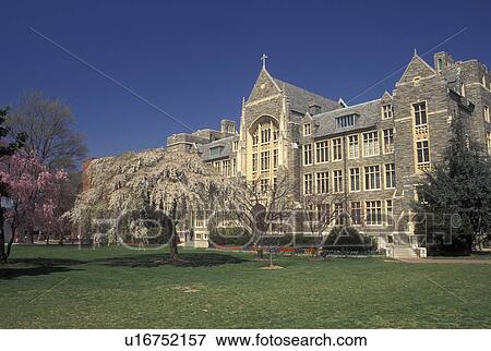 university, Georgetown, Washington, DC, District of Columbia, White-Gravenor Building on the campus of Georgetown University in the spring in Georgetown. View Large Photo Image Stock Photo - university, Georgetown, Washington, DC, District of Columbia, White-Gravenor Building on the campus of Georgetown University in the spring in Georgetown.. Fotosearch