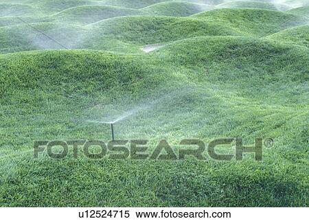 university, UM, Ann Arbor, MI, Michigan, The Wave Field by Maya Lin on the campus of the University of Michigan. View Large Photo Image Stock Photography - university, UM, Ann Arbor, MI, Michigan, The Wave Field by Maya Lin on the campus of the University of Michigan.. Fotosearch
