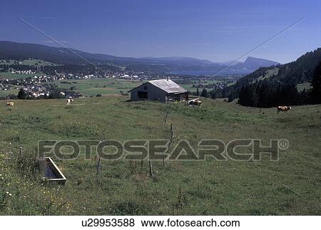 Vallee de Joux, Switzerland, Vaud, Jura Mountains, Scenic view of farms and villages in Vallee de Joux in the Jura mountain region. View Large Photo Image Stock Photo - Vallee de Joux, Switzerland, Vaud, Jura Mountains, Scenic view of farms and villages in Vallee de Joux in the Jura mountain region.. Fotosearch