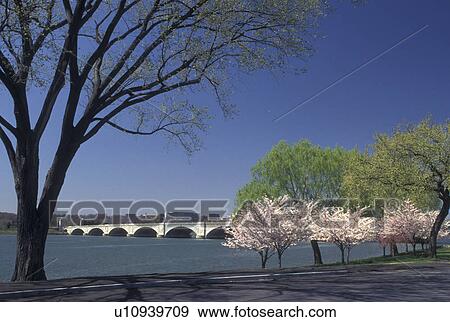 Washington, DC, District of Columbia, Arlington Memorial Bridge crosses the Potomac River in Washington D. C. in the spring. View Large Photo Image Stock Photo - Washington, DC, District of Columbia, Arlington Memorial Bridge crosses the Potomac River in Washington D. C. in the spring.. Fotosearch