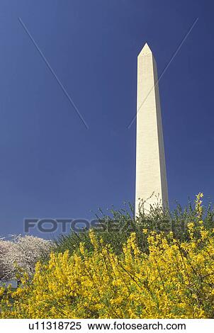 Washington Monument, Washington, DC, District of Columbia, Washington Monument in the spring at National Mall in Washington, D. C. View Large Photo Image Stock Photography - Washington Monument, Washington, DC, District of Columbia, Washington Monument in the spring at National Mall in Washington, D. C.. Fotosearch