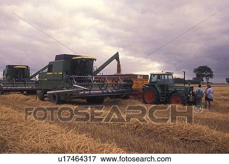 wheat field, Netherlands, Holland, Groningen, Europe, Farmer harvesting wheat in a wheat field with farm machinery. View Large Photo Image Stock Photo - wheat field, Netherlands, Holland, Groningen, Europe, Farmer harvesting wheat in a wheat field with farm machinery.. Fotosearch