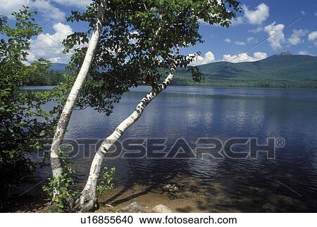 Stock Image -  White Mountain National Forest, NH, New Hampshire, Scenic view of Mt. Chocorua from Chocorua Lake in the White Mountain National Forest.. Fotosearch