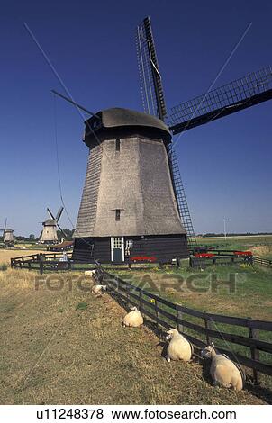 windmills in europe