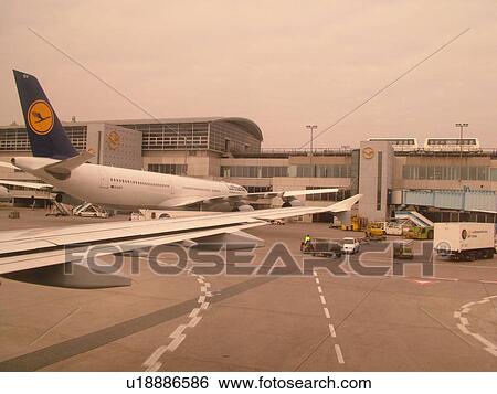 airport, Frankfurt, Germany, Europe, Lufthansa Airline planes parked at the gates of the Frankfurt Terminal. View Large Photo Image Stock Photograph - airport, Frankfurt, Germany, Europe, Lufthansa Airline planes parked at the gates of the Frankfurt Terminal.. Fotosearch