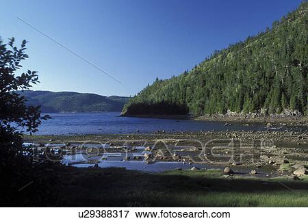 Anse de Petit-Saguenay, Canada, Quebec, Saguenay Fjord and River in Saguenay National Park View Large Photo Image Stock Photo - Anse de Petit-Saguenay, Canada, Quebec, Saguenay Fjord and River in Saguenay National Park. Fotosearch