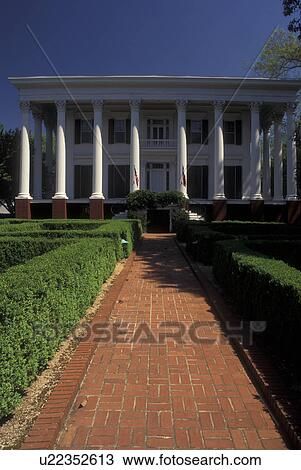 Athens, GA, Georgia, University of Georgia, President's House View Large Photo Image Stock Image - Athens, GA, Georgia, University of Georgia, President's House. Fotosearch