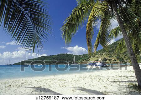 Stock Photo -  beach, Jost Van Dyke, British Virgin Islands, Caribbean, BVI, White sand beach on Jost Van Dyke Island in Great Harbor on the Caribbean Sea.. Fotosearch