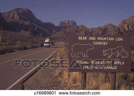 Big Bend National Park, TX, Texas, Road to The Basin, wildlife sign along road View Large Photo Image Stock Image - Big Bend National Park, TX, Texas, Road to The Basin, wildlife sign along road. Fotosearch